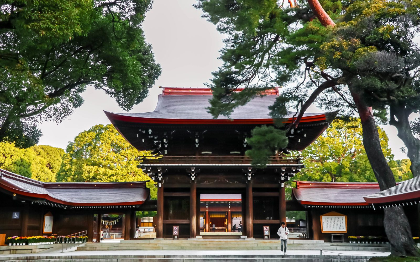 Image result for Meiji Jingu Shrine